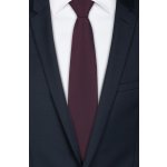 Pánská kravata BANDI, model CASIO 05