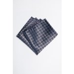 Pánský kapesníček BANDI, model MONSANO 05