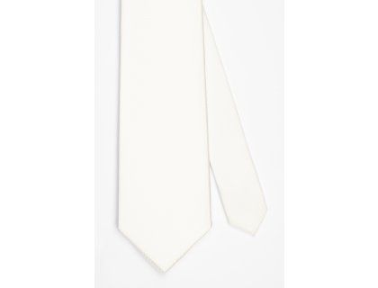 Pánská kravata BANDI, model CASIO 02