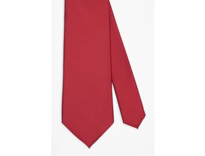 Pánská kravata BANDI, model CASIO 03