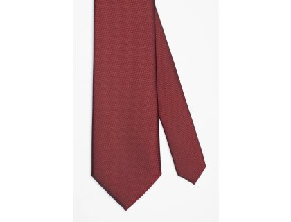 Pánská kravata BANDI, model CASIO 04