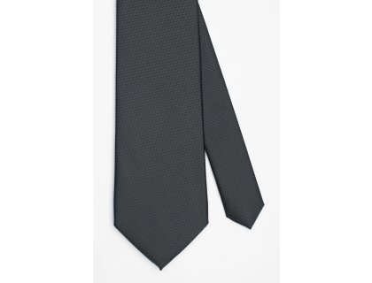 Pánská kravata BANDI, model CASIO 08