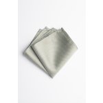 Pánský kapesníček BANDI, model ALQUEZ 12