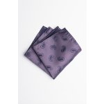 Pánský kapesníček BANDI, model TIAGO 03