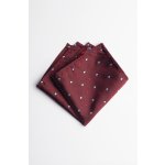 Pánský kapesníček BANDI, model GIRO 04