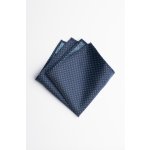 Pánský kapesníček BANDI, model DICARSO 02