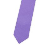 Pánská kravata BANDI, model CLASS 214