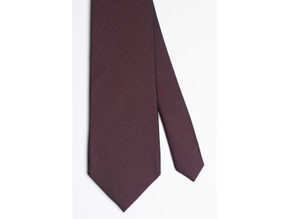 Pánská kravata BANDI, model CASIO 05