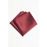 Pánský kapesníček BANDI, model ALBARO 11