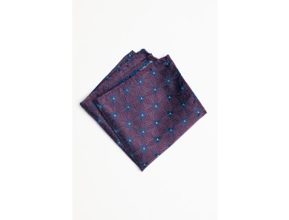 Pánský kapesníček BANDI, model COMPASSO 01