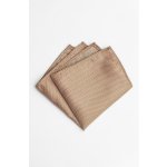 Pánský kapesníček BANDI, model ALQUEZ 28