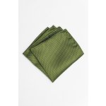 Pánský kapesníček BANDI, model ALQUEZ 32