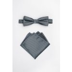 Pánský motýlek BANDI, model ALQUEZ medium 13