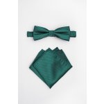 Pánský motýlek BANDI, model ALQUEZ medium 11