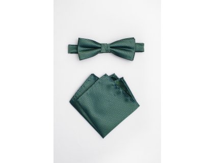 Pánský motýlek BANDI, model TINIO medium 03