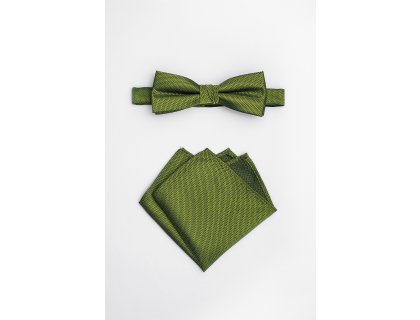 Pánský motýlek BANDI, model ALQUEZ medium 32