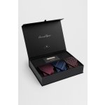 Pánský hedvábný kravatový set BANDI, model ERNEZZO Regular