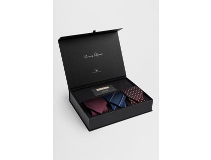 Pánský hedvábný kravatový set BANDI, model ERNEZZO Regular