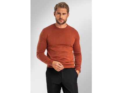 Pánský svetr BANDI, model AUGUSTIO Siena