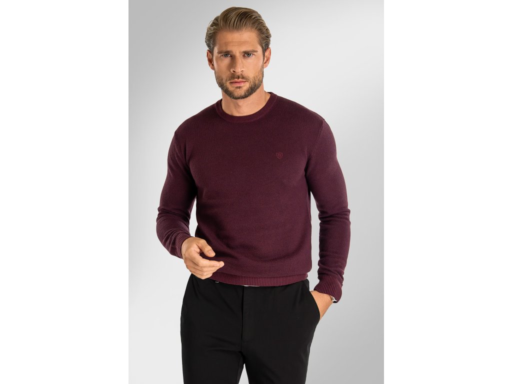 Pánský svetr BANDI, model EDGARO Marsala
