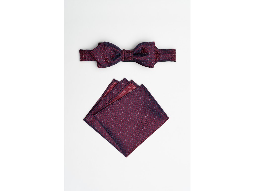 Pánský motýlek BANDI, model EDUCTO slim 02