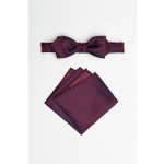 Pánský motýlek BANDI, model EDUCTO slim 02