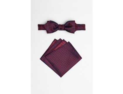 Pánský motýlek BANDI, model EDUCTO slim 02