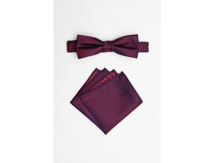 Pánský motýlek BANDI, model EDUCTO medium 02