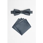 Pánský motýlek BANDI, model EDUCTO medium 03