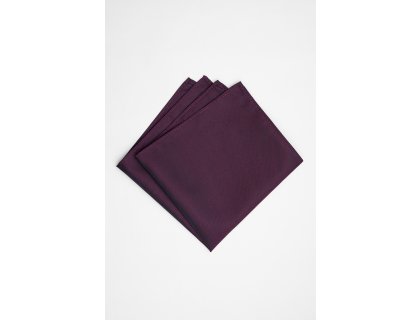 Pánský kapesníček BANDI, model ANTUZIO 04