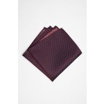 Pánský kapesníček BANDI, model APSITO 03