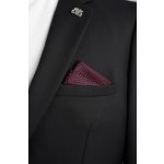 Pánský kapesníček BANDI, model APSITO 03