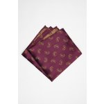 Pánský kapesníček BANDI, model BRUCO 04