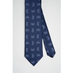 Pánská kravata BANDI, model BRUCO 06