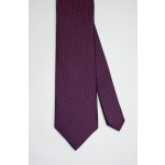 Pánská kravata BANDI, model EDUCTO 02