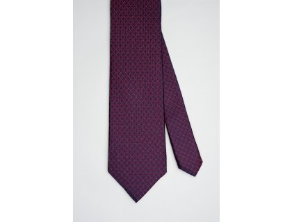 Pánská kravata BANDI, model EDUCTO 02