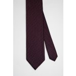 Pánská kravata BANDI, model APSITO 03