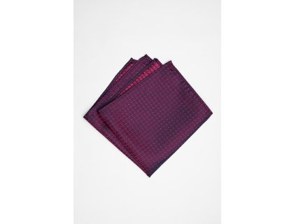 Pánský kapesníček BANDI, model EDUCTO 02