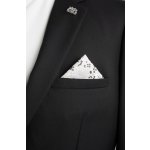 Pánský kapesníček BANDI, model FLERIO 05