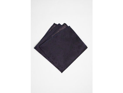 Pánský kapesníček BANDI, model RICIAMO 04