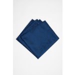 Pánský kapesníček BANDI, model RICIAMO 05