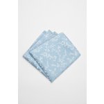 Pánský kapesníček BANDI, model RICIAMO 02