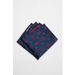 Pánský kapesníček BANDI, model ROCCHETO 02