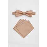 Pánský motýlek BANDI, model ALQUEZ medium 28