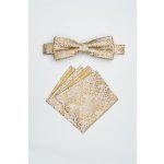 Pánský motýlek BANDI, model FLERIO medium 01