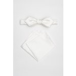 Pánský motýlek BANDI, model MARTIM slim 04